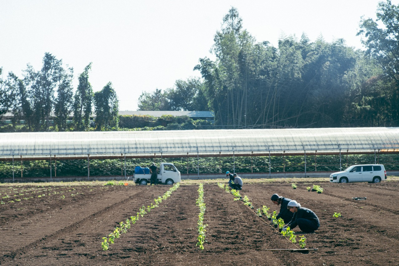 Deo DO CARE(ニオイケアサプリ)