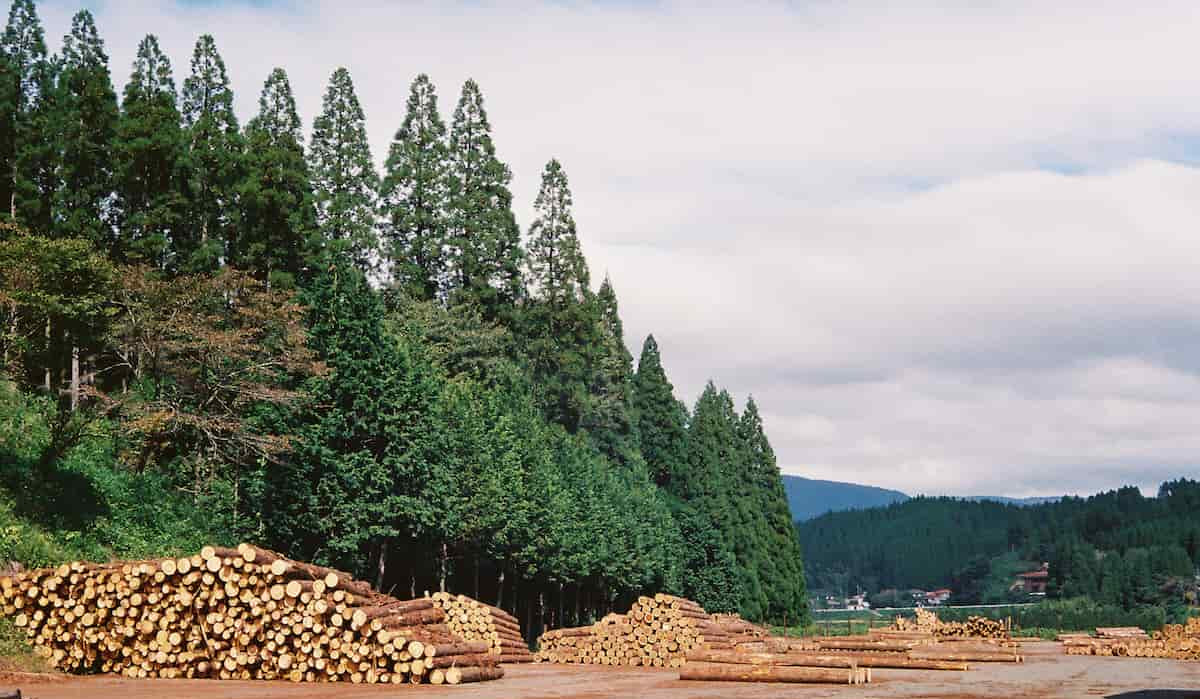 HiKEI（ハイケイ） 公式オンラインストア